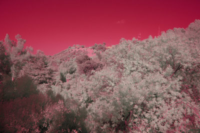 Infrared Sensor Test I - 5/24/12