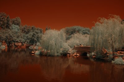 Huntington Infrared - 05/28/12