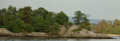 g4/98/376698/3/144548074.CiBAeAI7.jpg