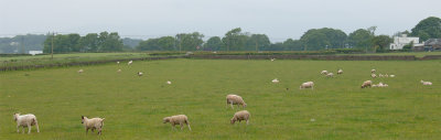 g4/98/376698/3/144548081.NIr8I2Pz.jpg