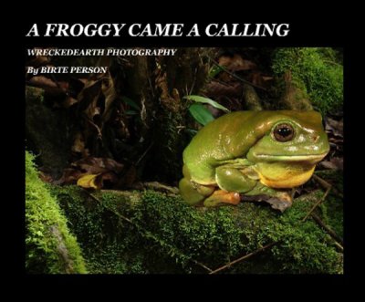 BOOK A FROGGY CAME A CALLING.jpg