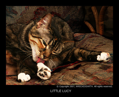 LUCY.jpg