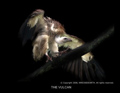 VULCAN.jpg
