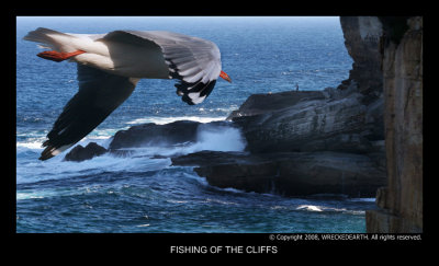 FISHING OFF THE CLIFFS.jpg