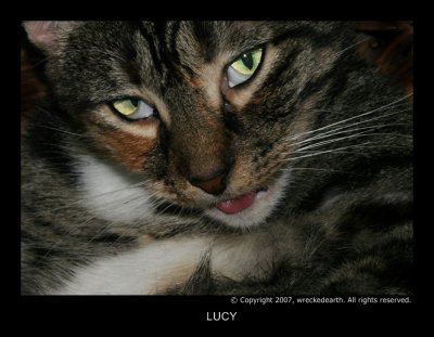 LUCY.jpg