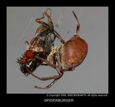 SPIDER BURGER.jpg