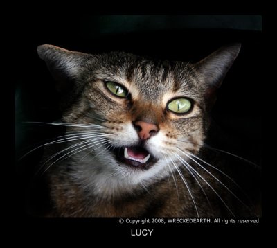 LUCY .jpg