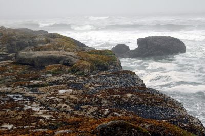 Oregon_Coast_DSC_4349M.JPG