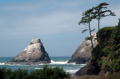 Oregon_Coast_DSC_4361M.JPG