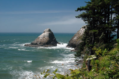 Oregon_Coast_DSC_4365M.JPG