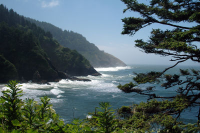 Oregon_Coast_DSC_4368M.JPG