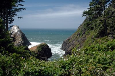 Oregon_Coast_DSC_4373M.JPG