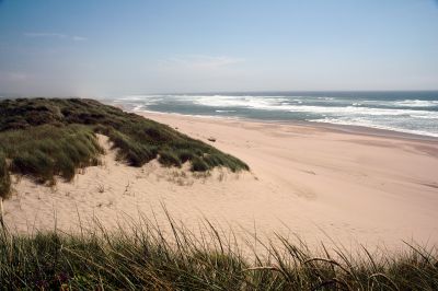 Oregon_Coast_DSC_4393M.JPG