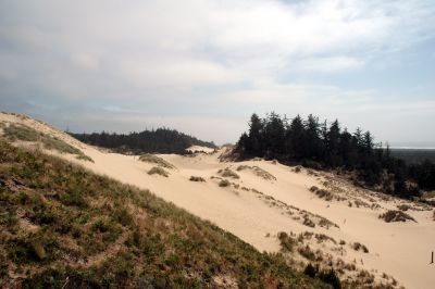 Oregon_Coast_DSC_4398M.JPG