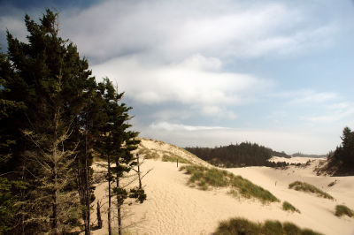 Oregon_Coast_DSC_4400M.JPG