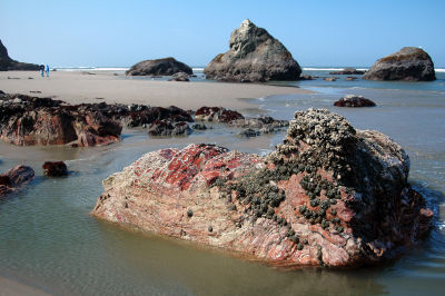 Oregon_Coast_DSC_4432M.JPG