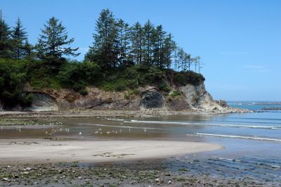 Oregon_Coast_DSC_4450M.JPG