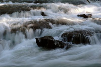 DSC_4646M.JPG