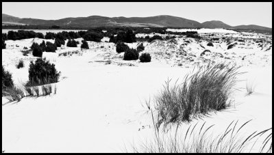 Porto Pino - Sardegna