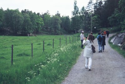 g4/98/571998/3/141400237.zpGx1uvU.jpg
