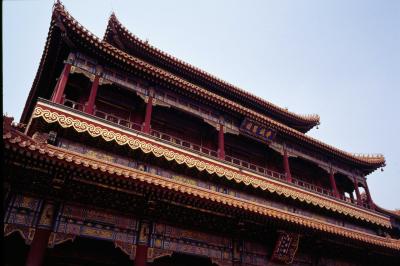 IMAGE 200303.JPG