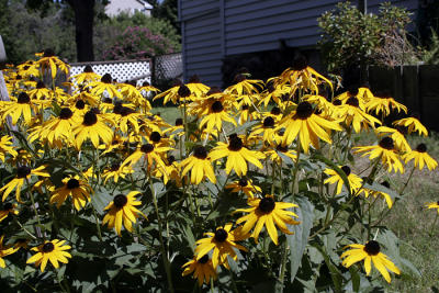 _MG_1300b.jpg