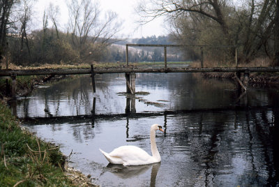g4/98/592398/3/138292426.n2BiTt5y.jpg