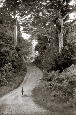 The Road to Sanoyea