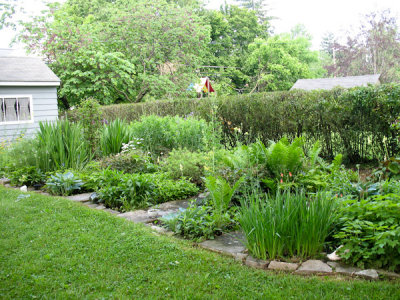 Debbie's Garden 2012