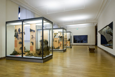 Museum Koenig, Bonn, 2011