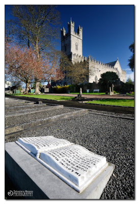 Limerick Cathedral