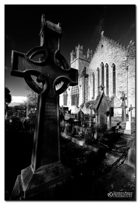 Limerick Cathedral