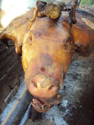 Pig Roast - Barra De Navadid