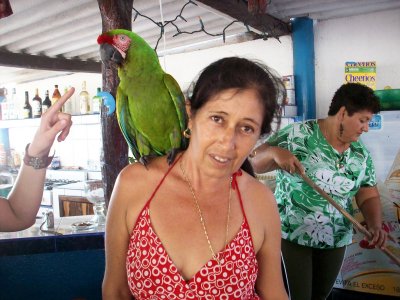 Linda and her parrot