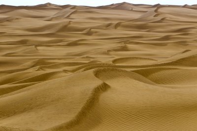 Taklamakan Desert ��J�Ժ��F�F�z