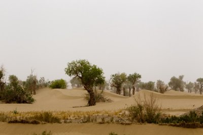 Taklamakan Desert ��J�Ժ��F�F�z