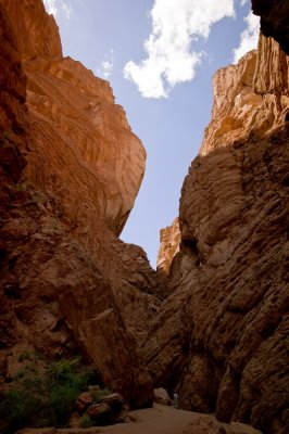 Tianshan Grand Canyon �Ѥs�j�l��