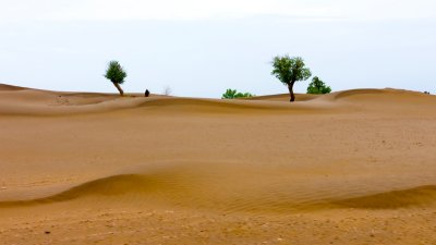 Taklamakan Desert ��J�Ժ��F�F�z