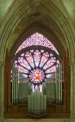 Soissons Cathedral (Cathédrale Saint-Gervais-et-Saint-Protais de Soissons) Portfolio
