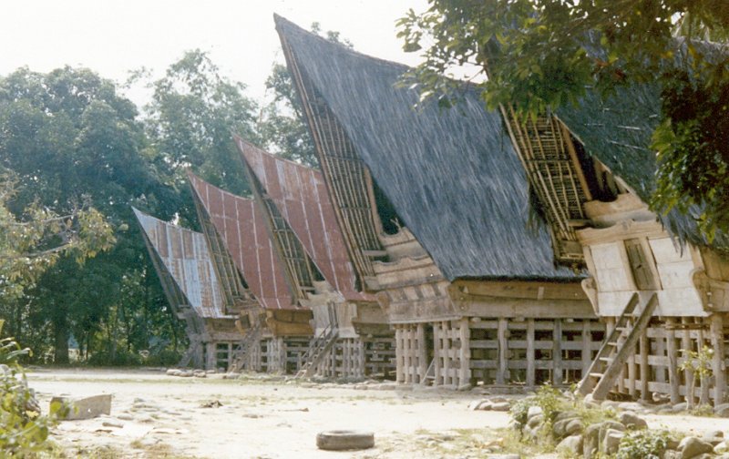 Tomok