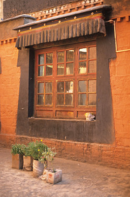 Tipical Tibetan window
