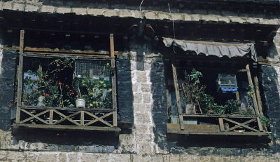 Tibetan windows