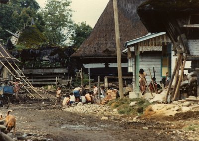 Batak Village