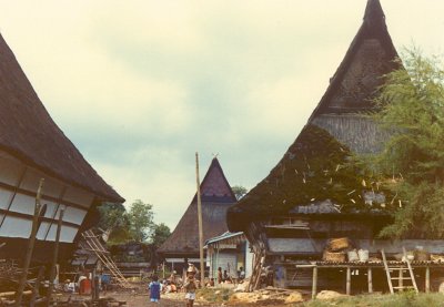 Batak Village