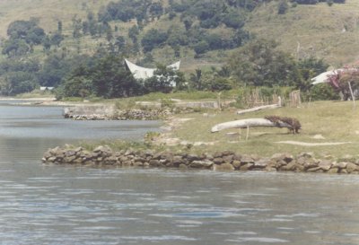 Toba Lake