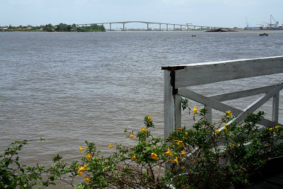 Jules Wijdenbosch Bridge