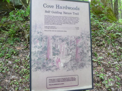 This nature trail is located in the Chimneys picnic area
