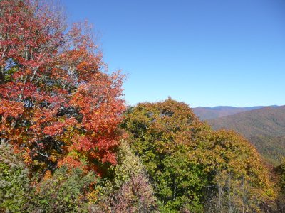 P1080446.JPG