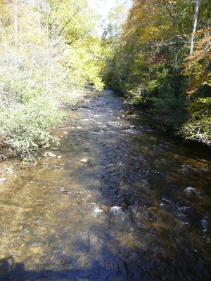 Ending with a picnic lunch along the Deep Creek River