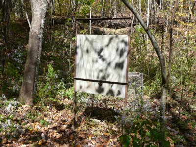 Wild Hog trap